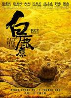 《白鹿原》电视剧免费全集在线观看—国产电视剧