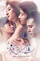 《夜孔雀》电影完整版免费在线观看_高清播放