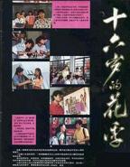 《十六岁的花季》电视剧全集免费在线观看高清完整版